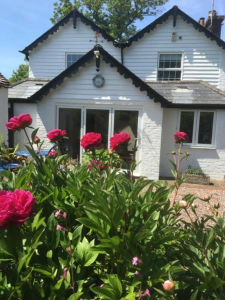 Wishing Well Cottage Wilmington  Exterior foto